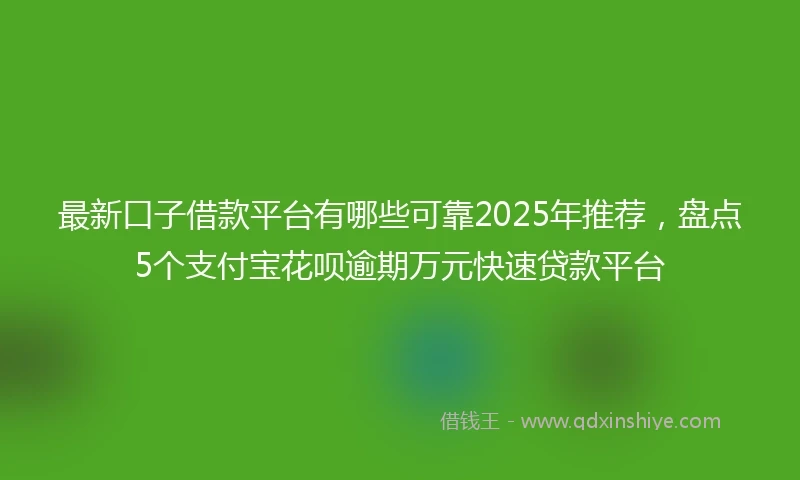 最新口子借款平台有哪些可靠2025年推荐，盘点5个支付宝花呗逾期万元快速贷款平台