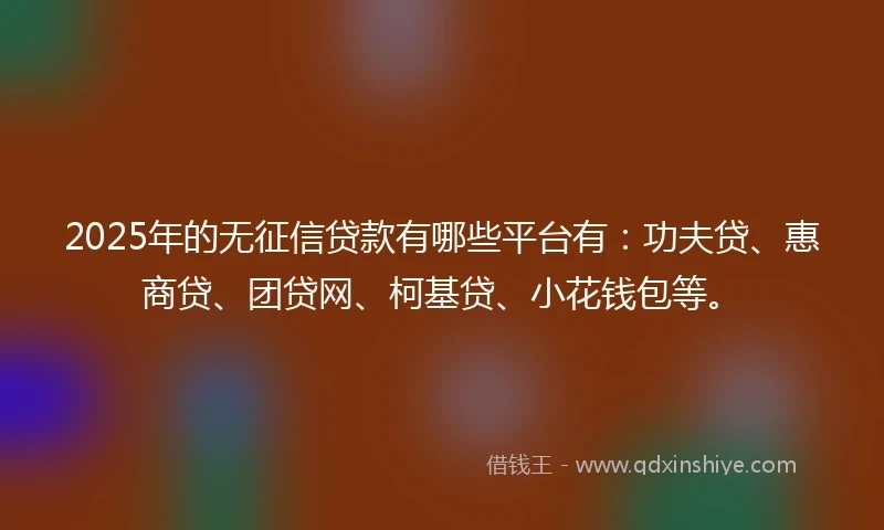 2025年的无征信贷款有哪些平台有：功夫贷、惠商贷、团贷网、柯基贷、小花钱包等。