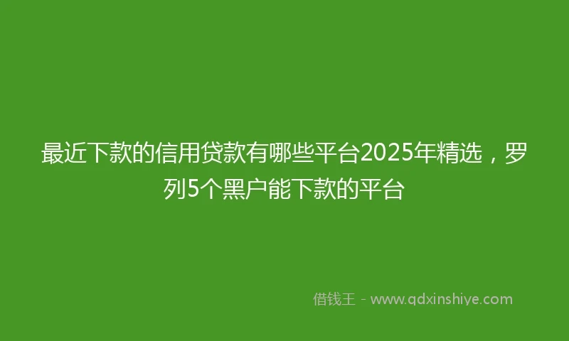 最近下款的信用贷款有哪些平台2025年精选，罗列5个黑户能下款的平台