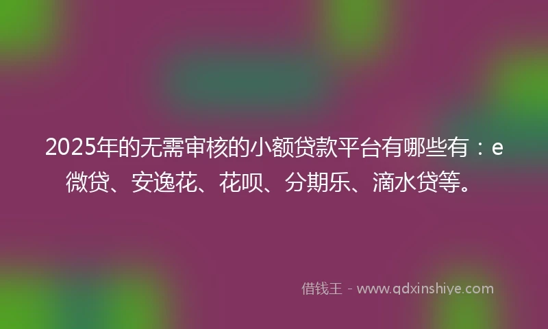 2025年的无需审核的小额贷款平台有哪些有：e微贷、安逸花、花呗、分期乐、滴水贷等。