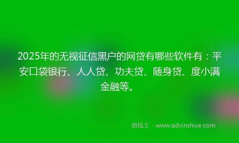 2025年的无视征信黑户的网贷有哪些软件有：平安口袋银行、人人贷、功夫贷、随身贷、度小满金融等。