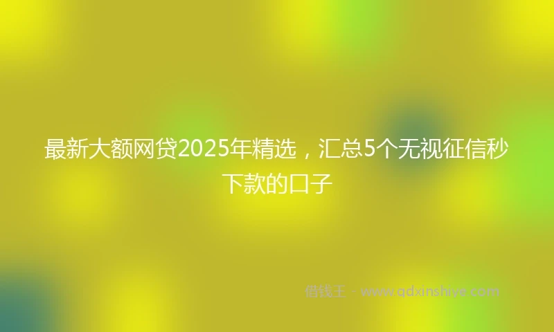 最新大额网贷2025年精选,汇总5个无视征信秒下款的口子