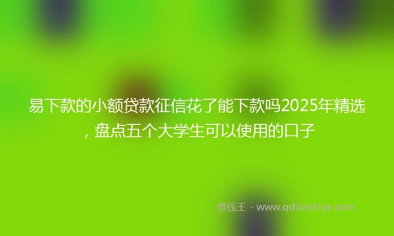 易下款的小额贷款征信花了能下款吗2025年精选，盘点五个大学生可以使用的口子