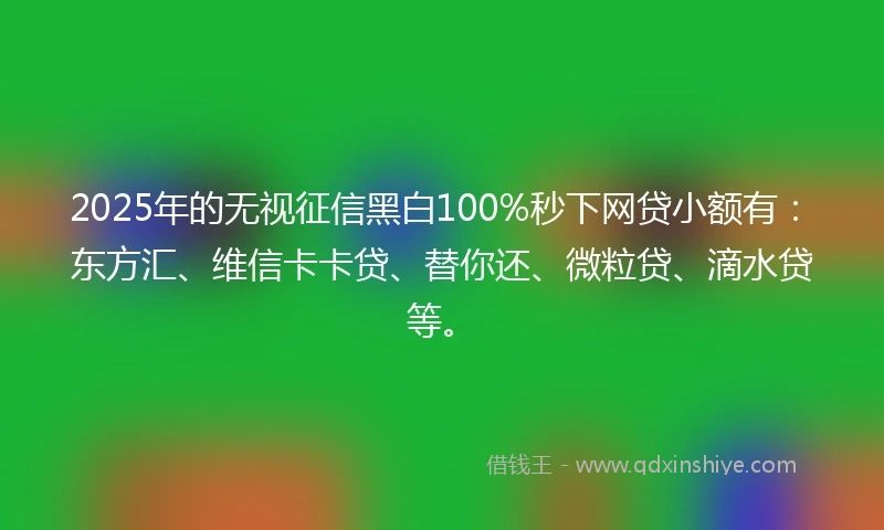 2025年的无视征信黑白100%秒下网贷小额有：东方汇、维信卡卡贷、替你还、微粒贷、滴水贷等。