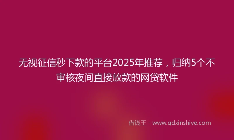 无视征信秒下款的平台2025年推荐，归纳5个不审核夜间直接放款的网贷软件