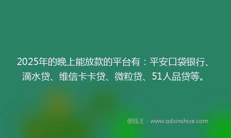 2025年的晚上能放款的平台有：平安口袋银行、滴水贷、维信卡卡贷、微粒贷、51人品贷等。