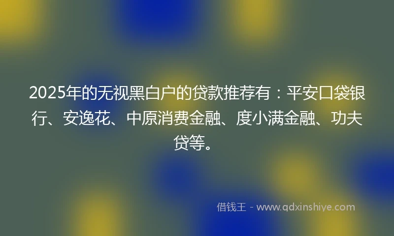 2025年的无视黑白户的贷款推荐有：平安口袋银行、安逸花、中原消费金融、度小满金融、功夫贷等。