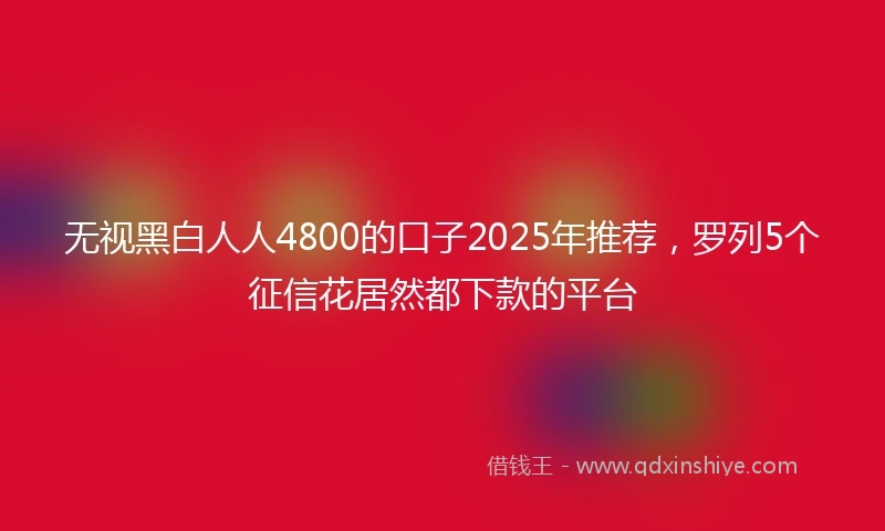 无视黑白人人4800的口子2025年推荐，罗列5个征信花居然都下款的平台