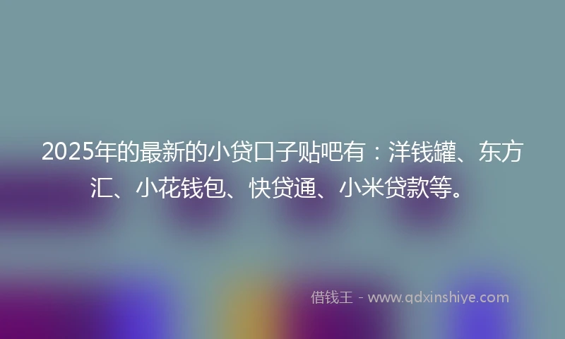 2025年的最新的小贷口子贴吧有：洋钱罐、东方汇、小花钱包、快贷通、小米贷款等。