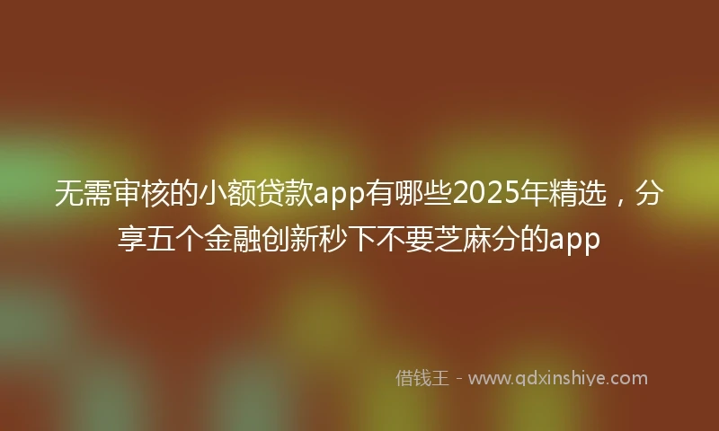 无需审核的小额贷款app有哪些2025年精选，分享五个金融创新秒下不要芝麻分的app