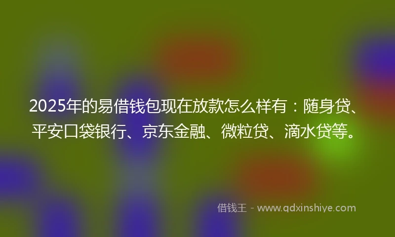 2025年的易借钱包现在放款怎么样有：随身贷、平安口袋银行、京东金融、微粒贷、滴水贷等。