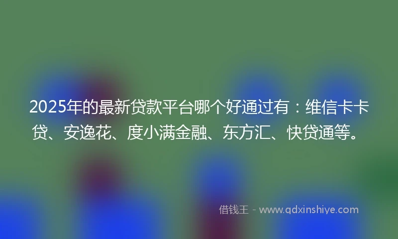 2025年的最新贷款平台哪个好通过有:维信卡卡贷、安逸花、度小满金融、东方汇、快贷通等。