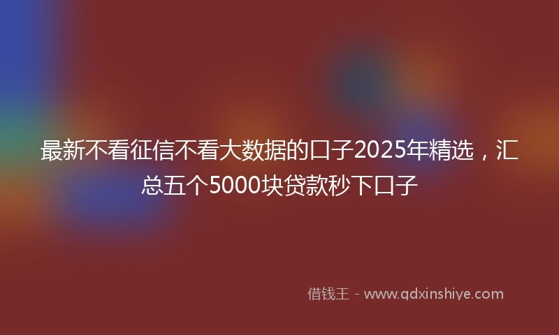 最新不看征信不看大数据的口子2025年精选，汇总五个5000块贷款秒下口子
