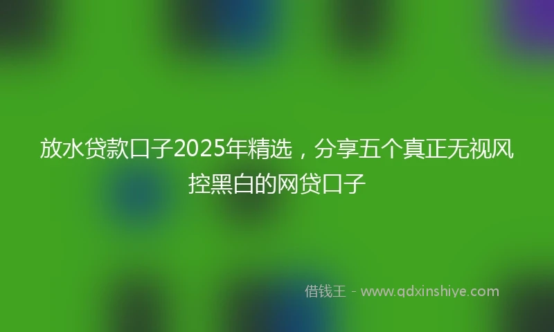 放水贷款口子2025年精选，分享五个真正无视风控黑白的网贷口子
