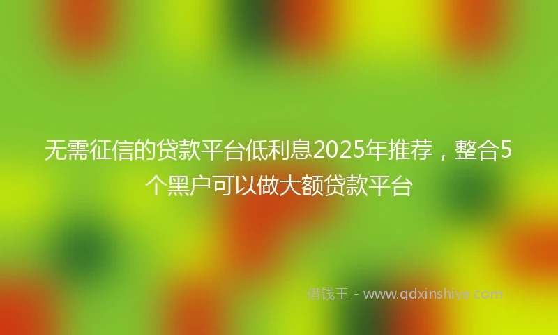 无需征信的贷款平台低利息2025年推荐，整合5个黑户可以做大额贷款平台