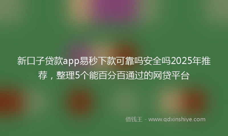 新口子贷款app易秒下款可靠吗安全吗2025年推荐，整理5个能百分百通过的网贷平台