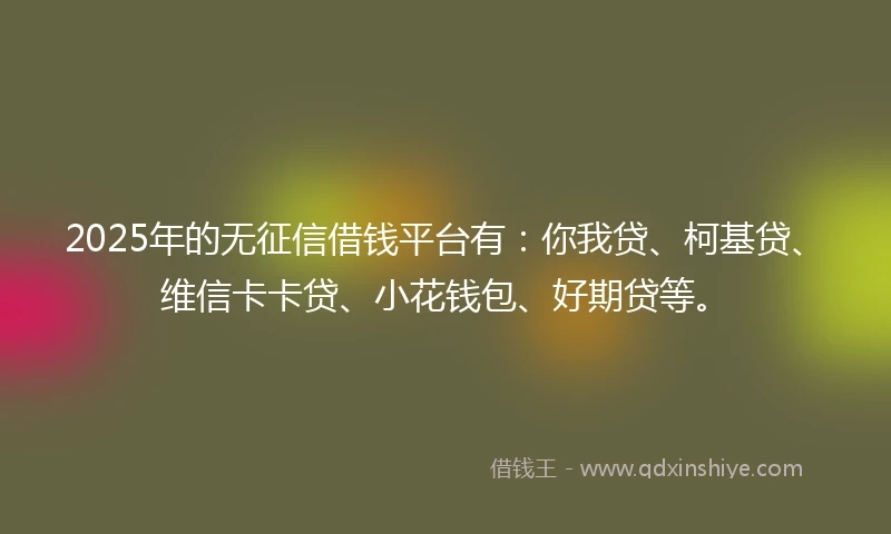 2025年的无征信借钱平台有:你我贷、柯基贷、维信卡卡贷、小花钱包、好期贷等。