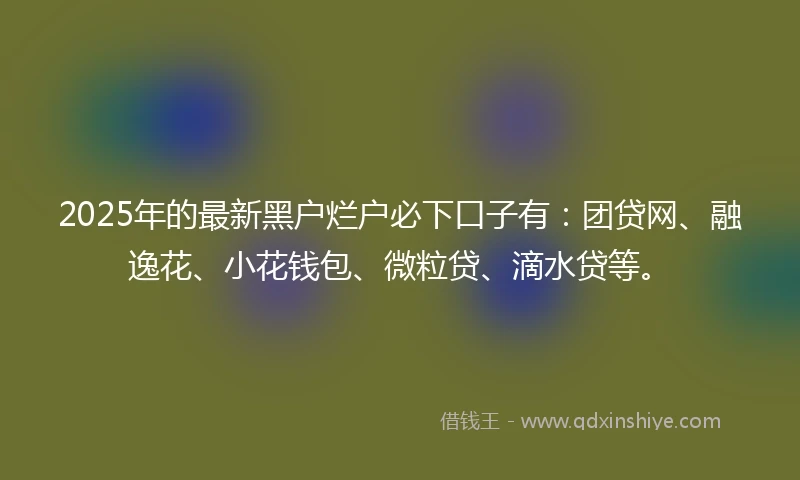 2025年的最新黑户烂户必下口子有：团贷网、融逸花、小花钱包、微粒贷、滴水贷等。