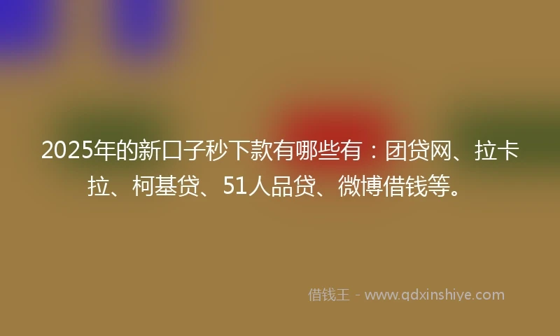 2025年的新口子秒下款有哪些有：团贷网、拉卡拉、柯基贷、51人品贷、微博借钱等。
