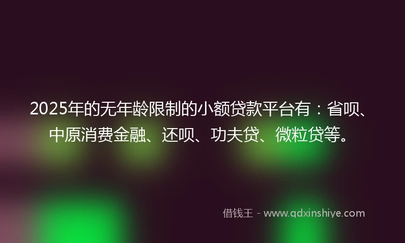 2025年的无年龄限制的小额贷款平台有：省呗、中原消费金融、还呗、功夫贷、微粒贷等。