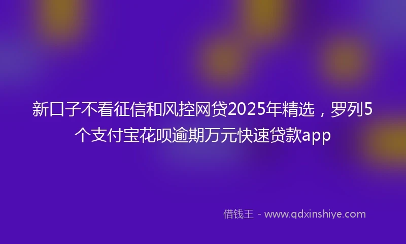 新口子不看征信和风控网贷2025年精选，罗列5个支付宝花呗逾期万元快速贷款app