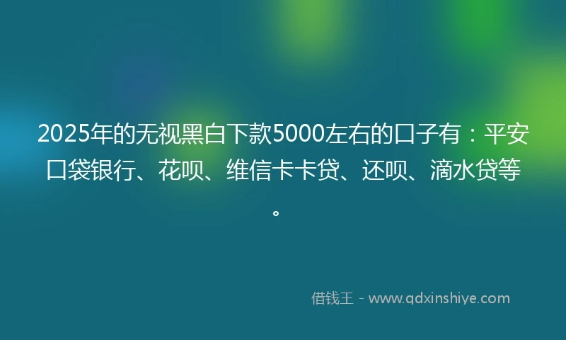2025年的无视黑白下款5000左右的口子有：平安口袋银行、花呗、维信卡卡贷、还呗、滴水贷等。