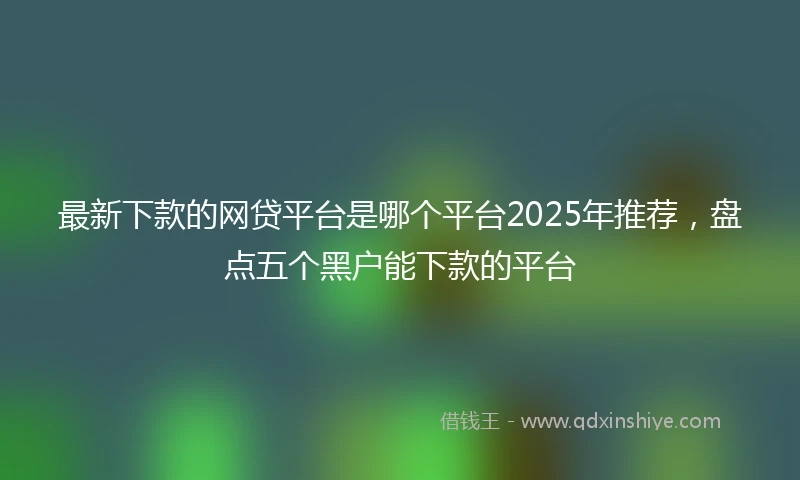 最新下款的网贷平台是哪个平台2025年推荐，盘点五个黑户能下款的平台