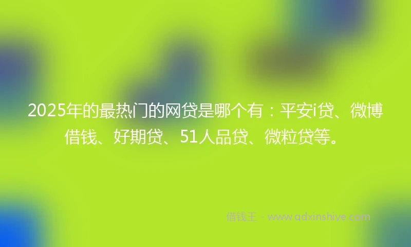 2025年的最热门的网贷是哪个有：平安i贷、微博借钱、好期贷、51人品贷、微粒贷等。