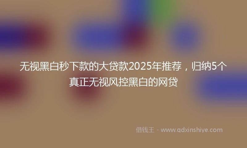 无视黑白秒下款的大贷款2025年推荐，归纳5个真正无视风控黑白的网贷
