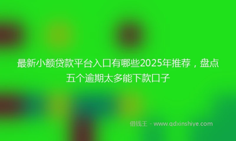 最新小额贷款平台入口有哪些2025年推荐,盘点五个逾期太多能下款口子