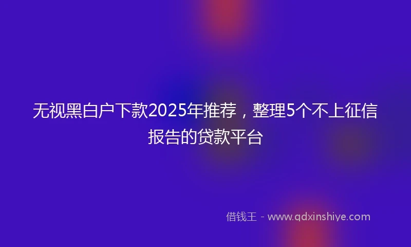 无视黑白户下款2025年推荐,整理5个不上征信报告的贷款平台