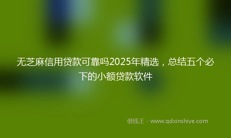 无芝麻信用贷款可靠吗2025年精选，总结五个必下的小额贷款软件