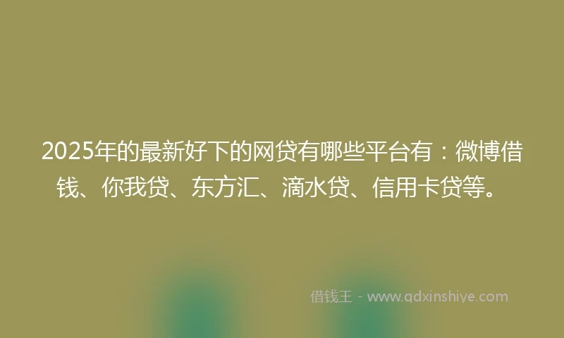 2025年的最新好下的网贷有哪些平台有：微博借钱、你我贷、东方汇、滴水贷、信用卡贷等。
