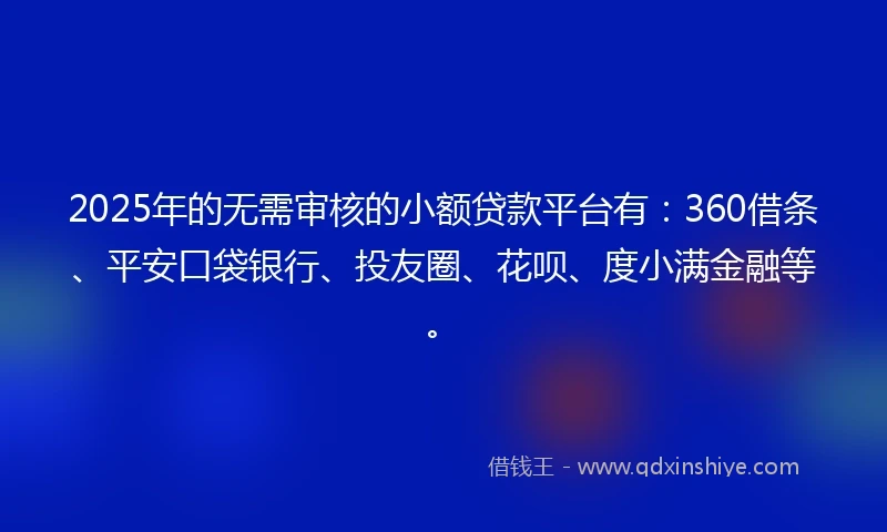 2025年的无需审核的小额贷款平台有：360借条、平安口袋银行、投友圈、花呗、度小满金融等。