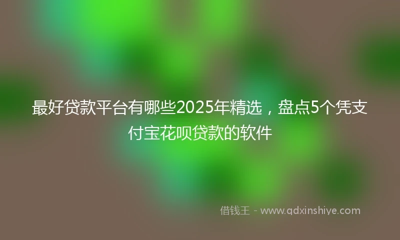 最好贷款平台有哪些2025年精选，盘点5个凭支付宝花呗贷款的软件