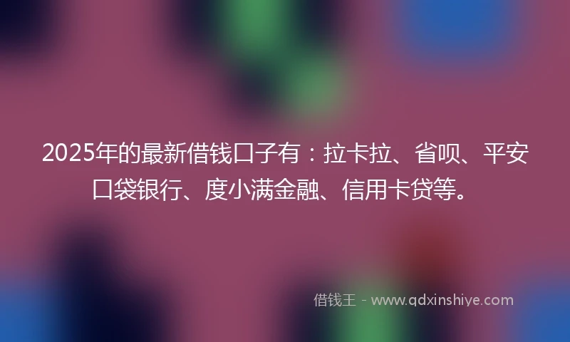 2025年的最新借钱口子有：拉卡拉、省呗、平安口袋银行、度小满金融、信用卡贷等。