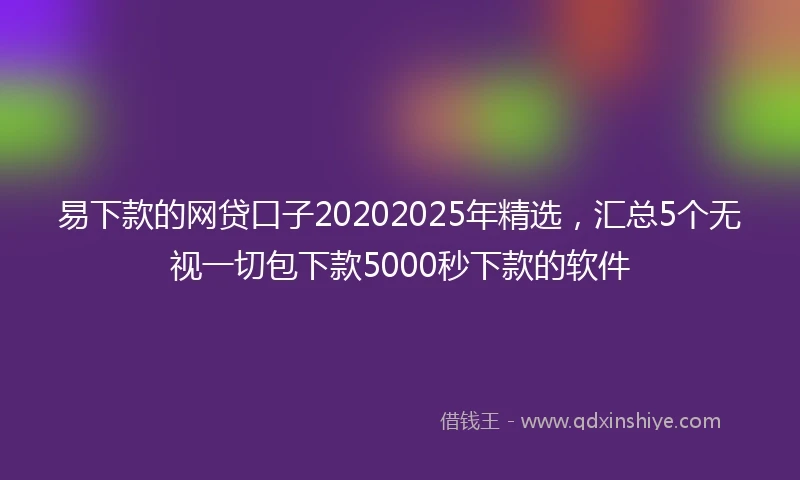 易下款的网贷口子20202025年精选，汇总5个无视一切包下款5000秒下款的软件