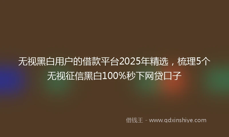 无视黑白用户的借款平台2025年精选，梳理5个无视征信黑白100%秒下网贷口子
