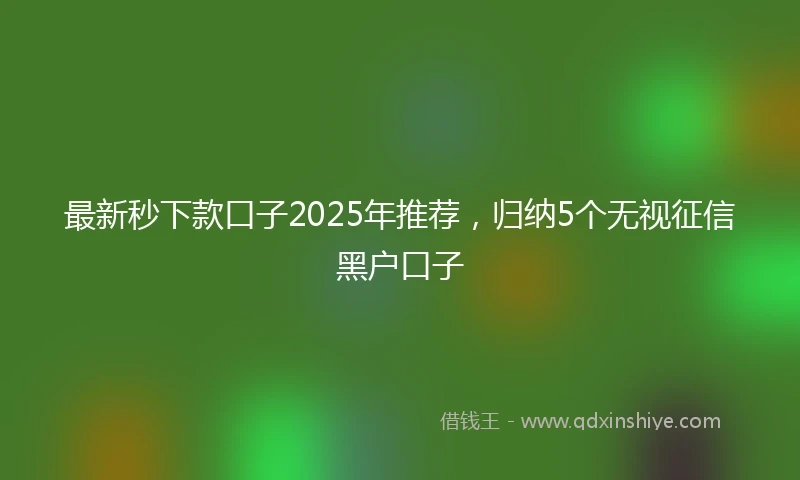 最新秒下款口子2025年推荐，归纳5个无视征信黑户口子