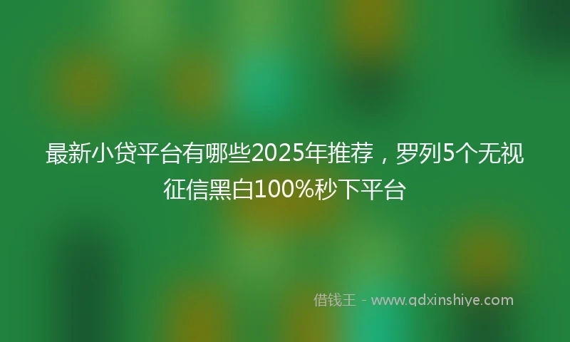 最新小贷平台有哪些2025年推荐，罗列5个无视征信黑白100%秒下平台