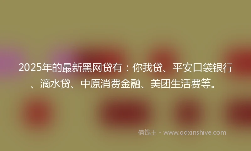 2025年的最新黑网贷有：你我贷、平安口袋银行、滴水贷、中原消费金融、美团生活费等。