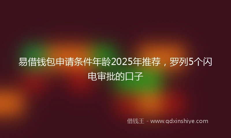 易借钱包申请条件年龄2025年推荐，罗列5个闪电审批的口子