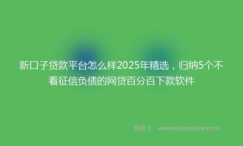 新口子贷款平台怎么样2025年精选，归纳5个不看征信负债的网贷百分百下款软件