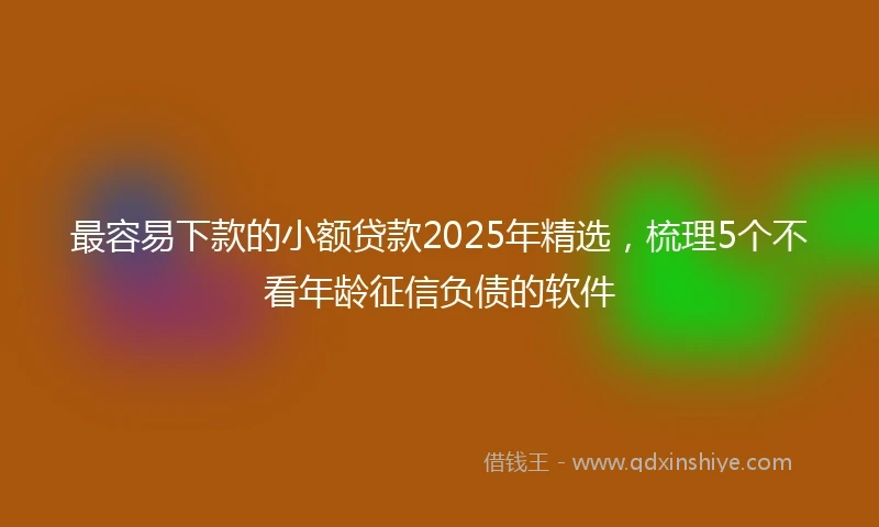 最容易下款的小额贷款2025年精选，梳理5个不看年龄征信负债的软件