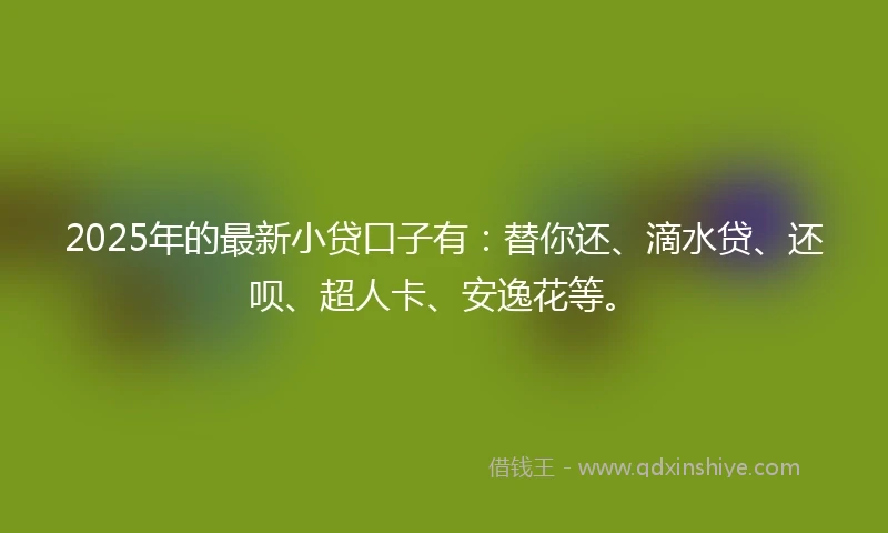 2025年的最新小贷口子有：替你还、滴水贷、还呗、超人卡、安逸花等。