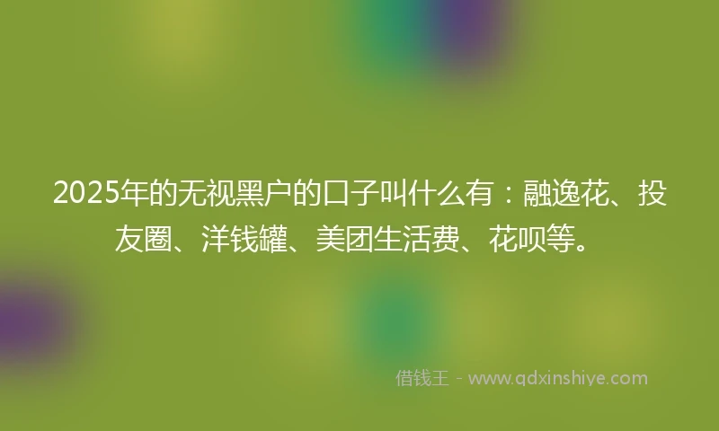 2025年的无视黑户的口子叫什么有：融逸花、投友圈、洋钱罐、美团生活费、花呗等。