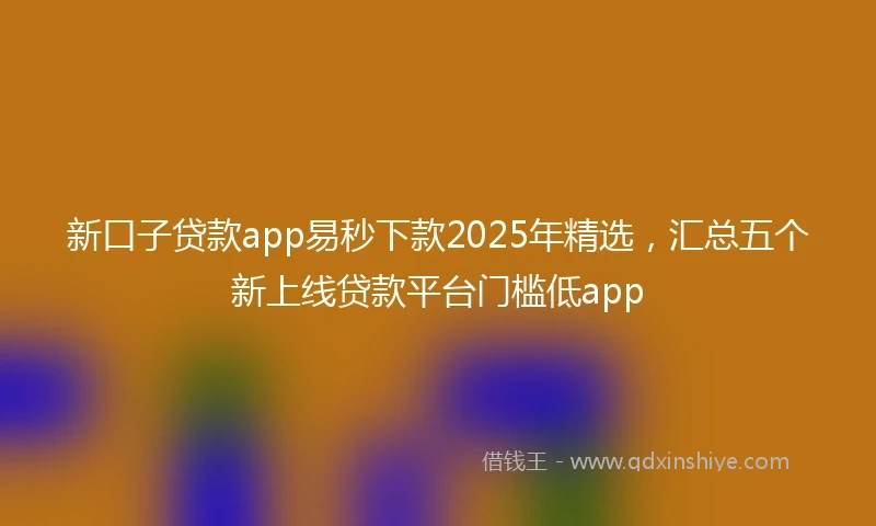 新口子贷款app易秒下款2025年精选，汇总五个新上线贷款平台门槛低app