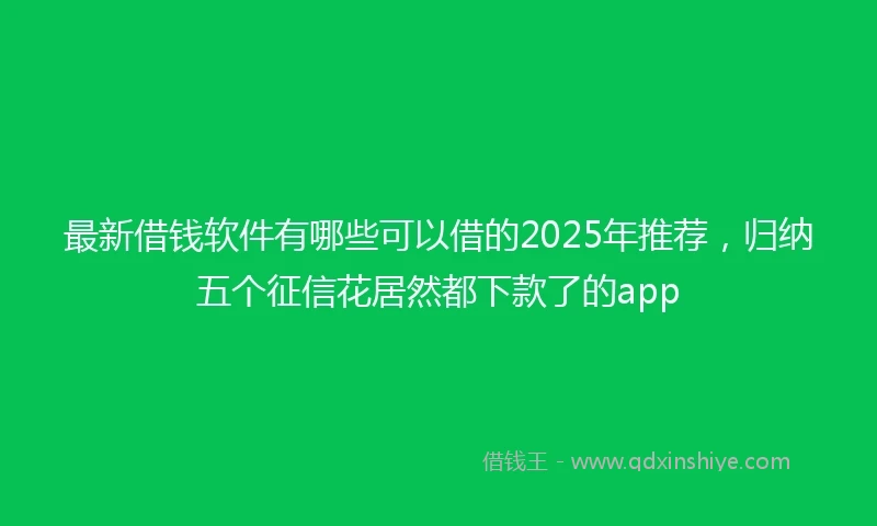 最新借钱软件有哪些可以借的2025年推荐，归纳五个征信花居然都下款了的app