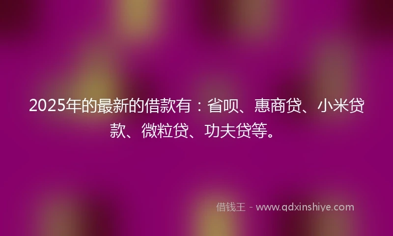 2025年的最新的借款有：省呗、惠商贷、小米贷款、微粒贷、功夫贷等。
