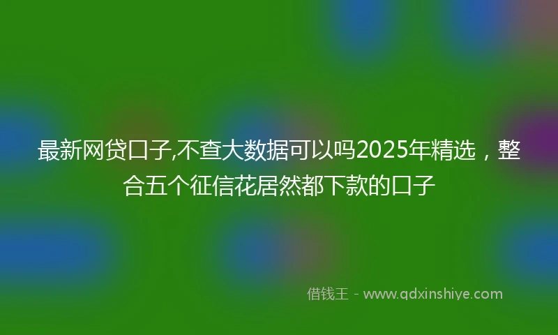 最新网贷口子,不查大数据可以吗2025年精选，整合五个征信花居然都下款的口子